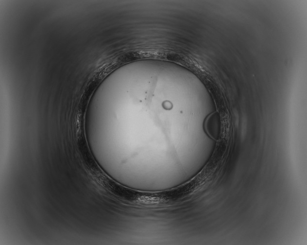 X0000086880699200705071202