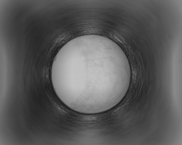 X0000086880701200705071202