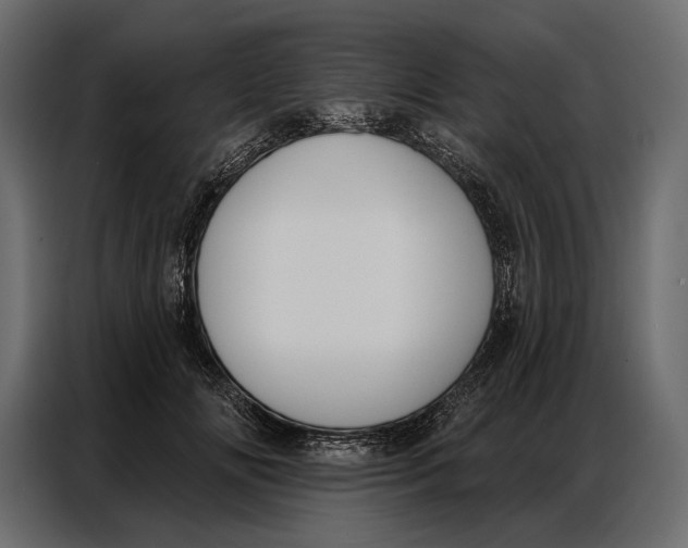 X0000086880702200705071202