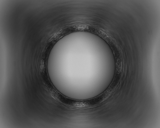 X0000086880704200705071202