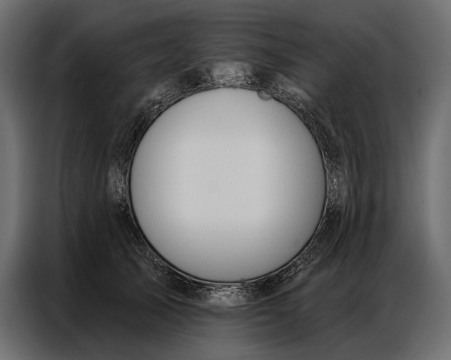 X0000086880705200705071202