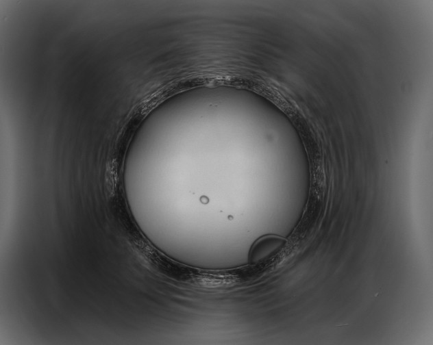 X0000086880707200705071202