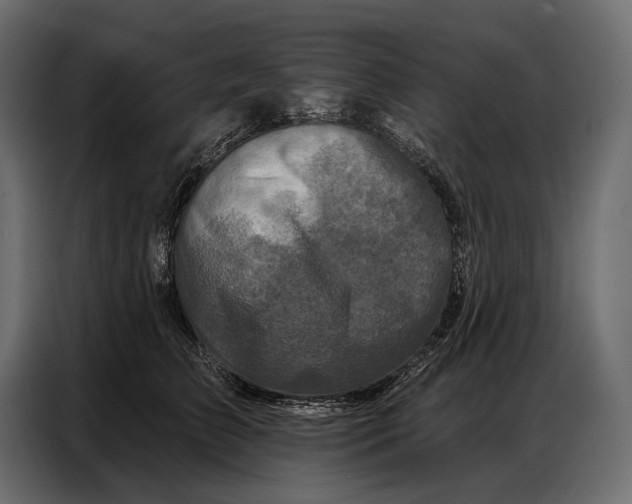 X0000086880709200705071202