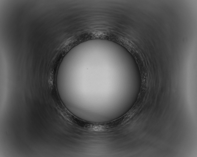 X0000086880710200705071202