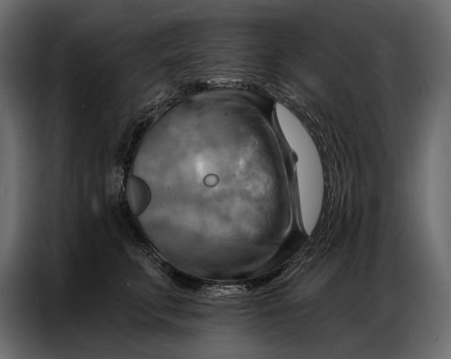 X0000086880711200705071202