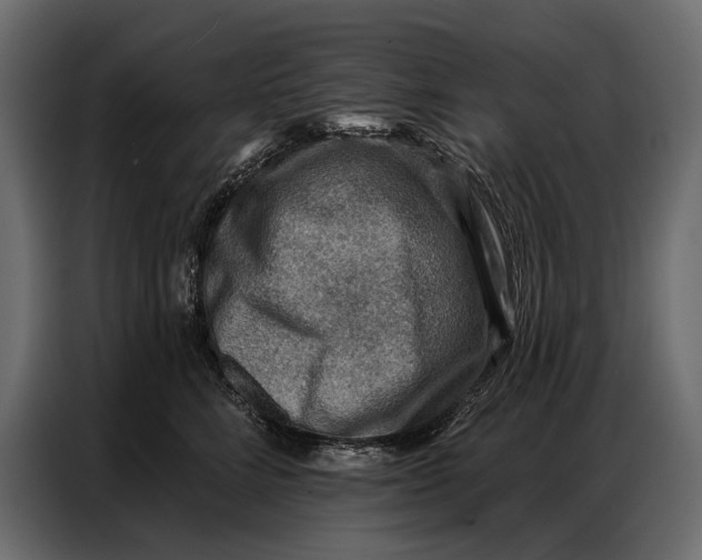 X0000086880712200705071202