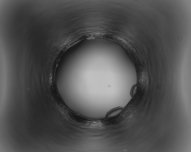 X0000086880715200705071201