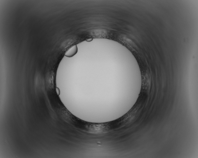 X0000086880717200705071201