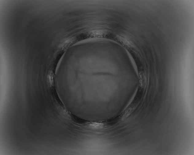 X0000086880718200705071201