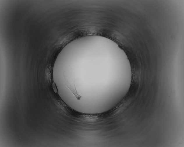 X0000086880719200705071201