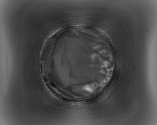 X0000086880721200705071201