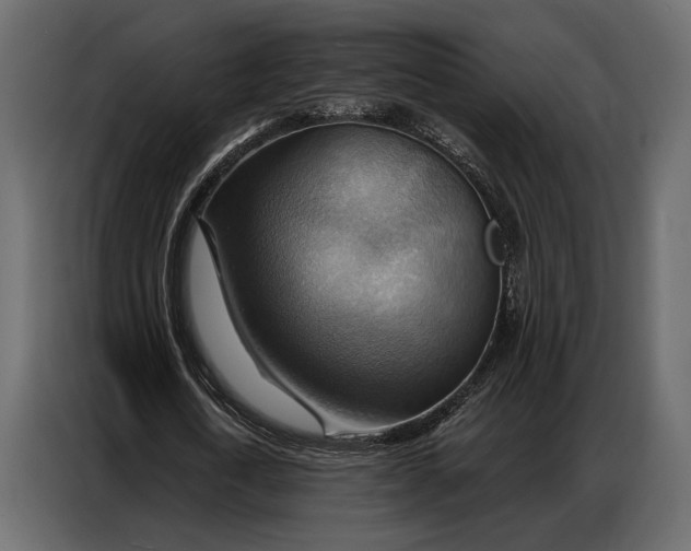 X0000086880722200705071201