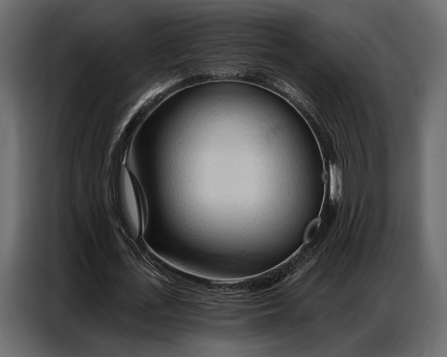 X0000086880723200705071201