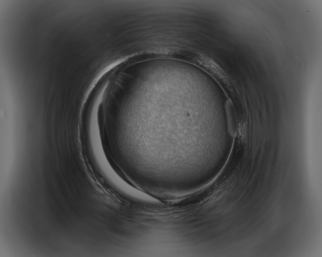 X0000086880724200705071201