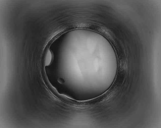 X0000086880725200705071201