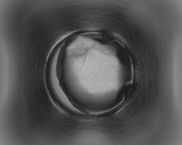 X0000086880726200705071201