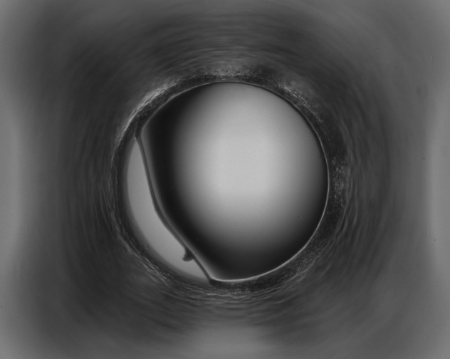 X0000086880727200705071201