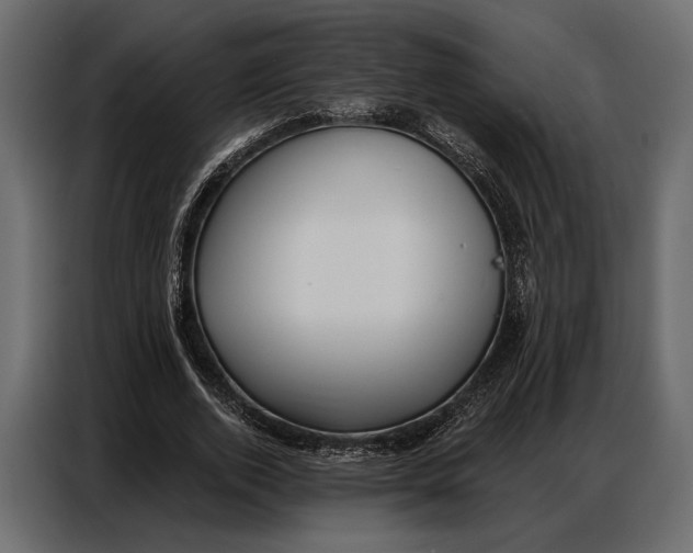 X0000086880728200705071201