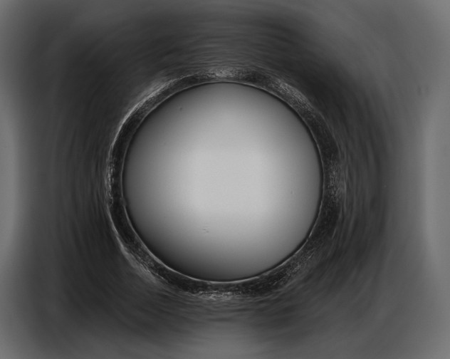 X0000086880730200705071201