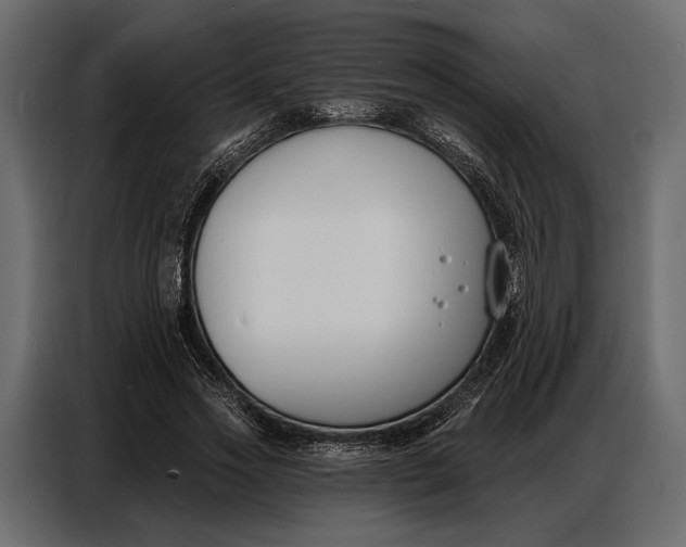 X0000086880733200705071201