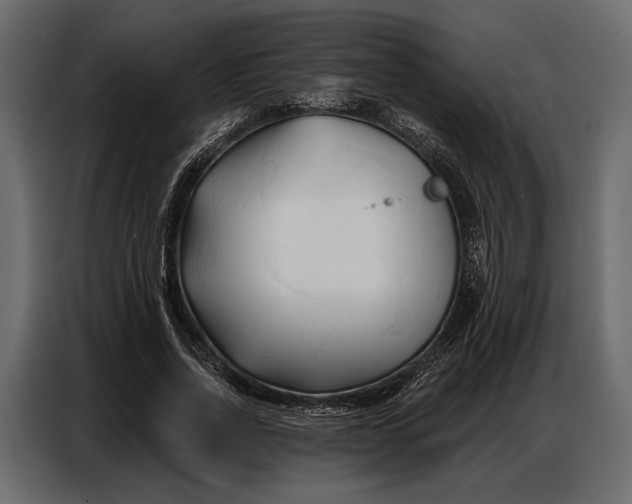 X0000086880734200705071201