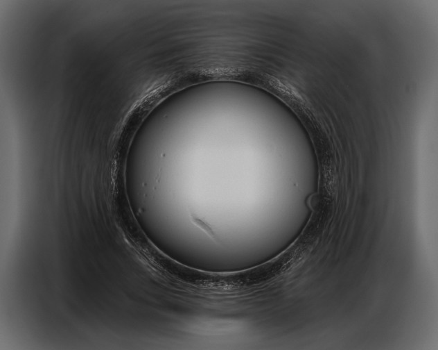 X0000086880735200705071201