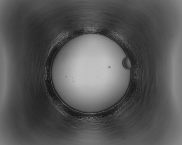 X0000086880738200705071201