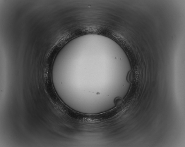 X0000086880739200705071201