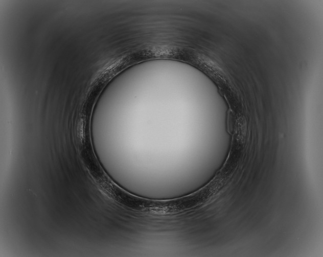 X0000086880740200705071201