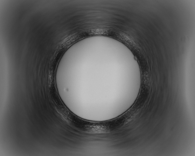 X0000086880741200705071201