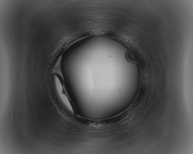 X0000086880742200705071201