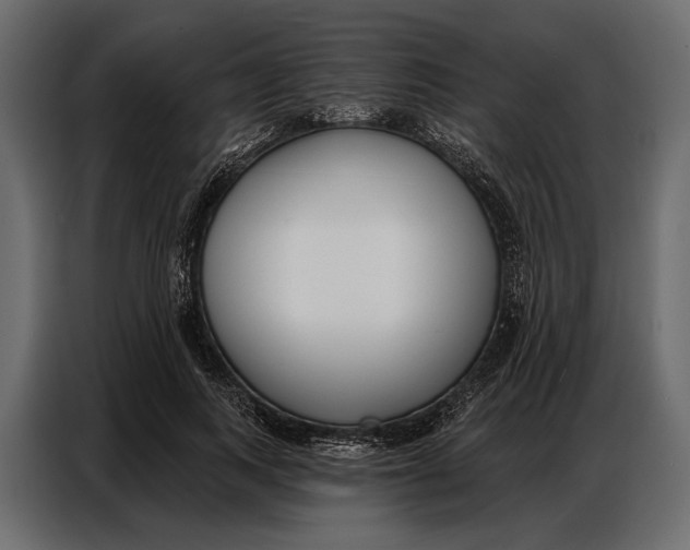 X0000086880743200705071201