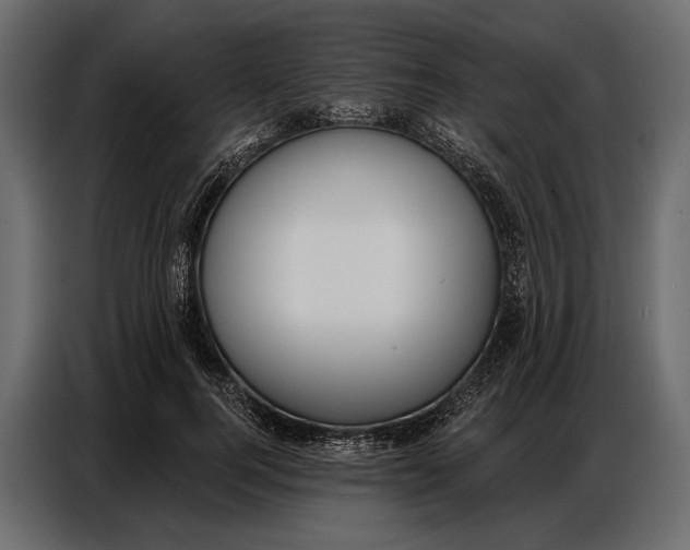 X0000086880744200705071201