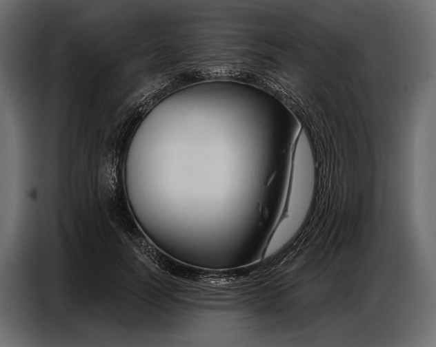 X0000086880746200705071201