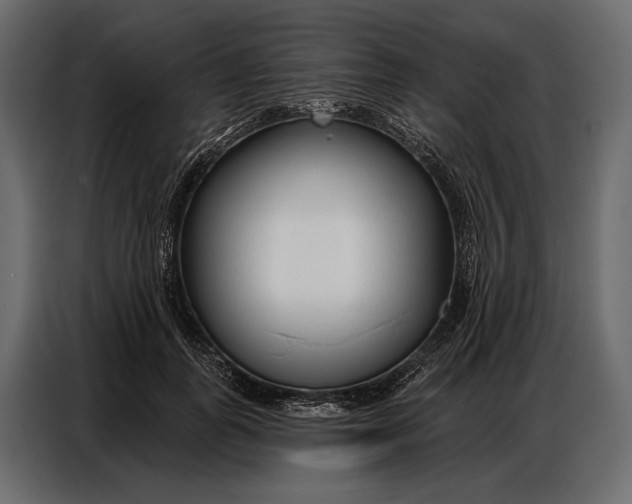 X0000086880747200705071201