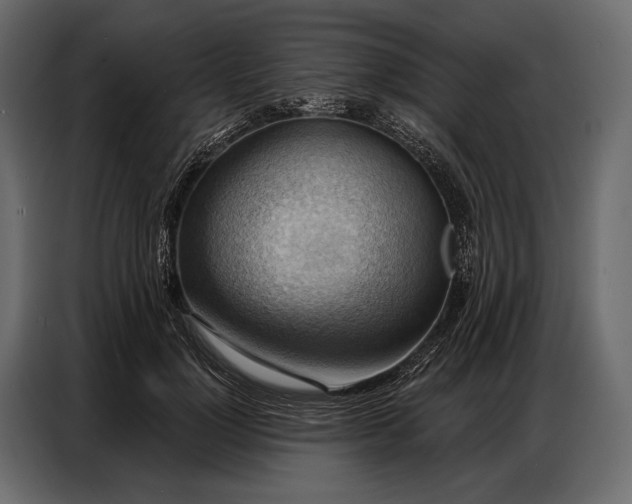 X0000086880748200705071201