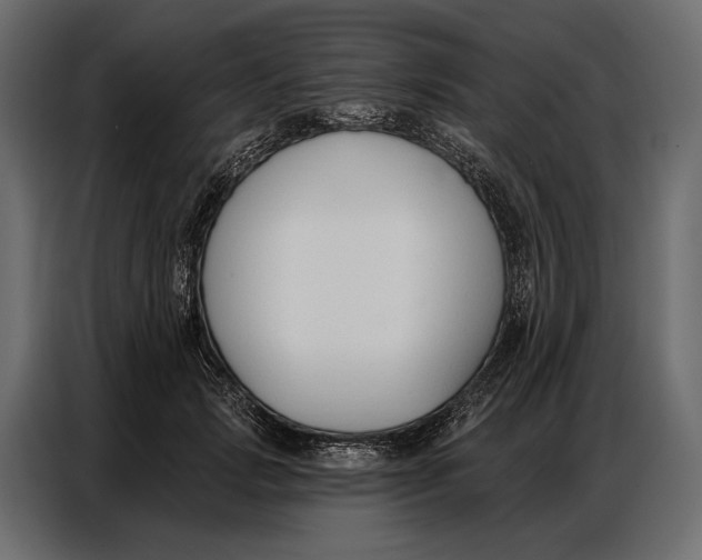 X0000086880749200705071201