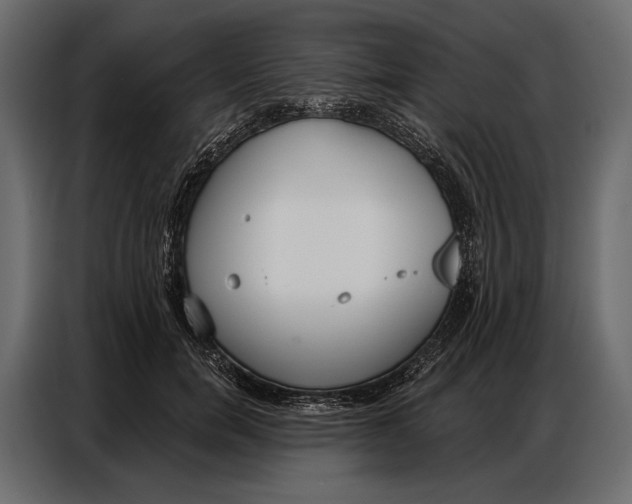 X0000086880750200705071201