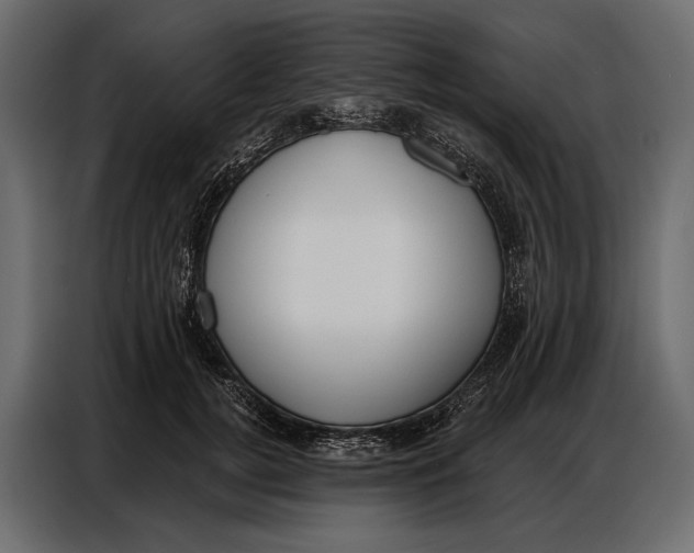 X0000086880752200705071201