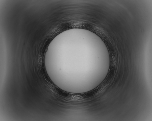 X0000086880753200705071201