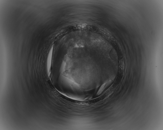 X0000086880754200705071201