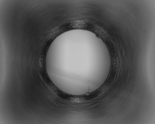 X0000086880755200705071201