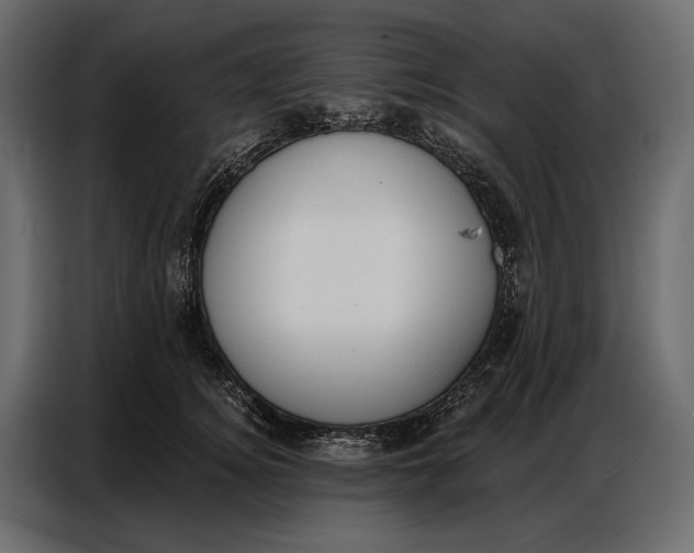 X0000086880756200705071201