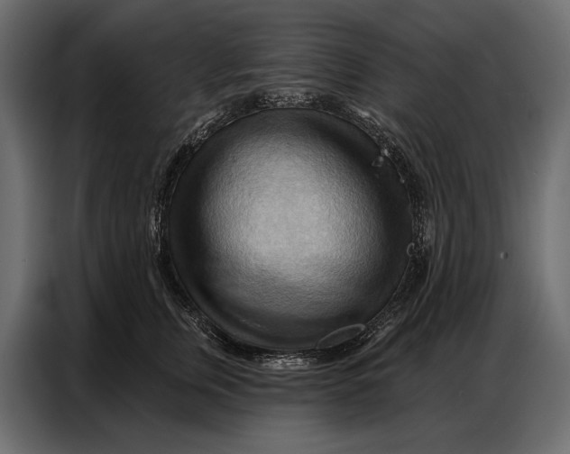 X0000086880759200705071201