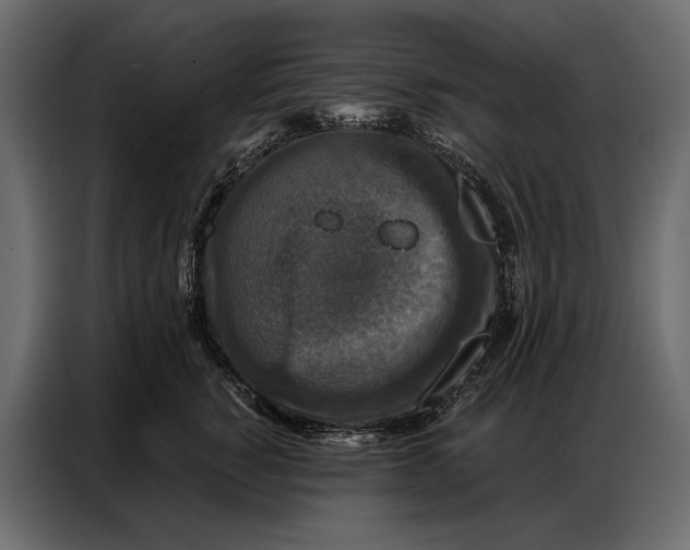 X0000086880760200705071201