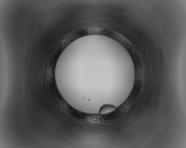 X0000086880761200705071201