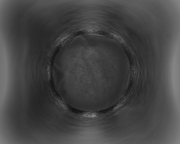 X0000086880762200705071201