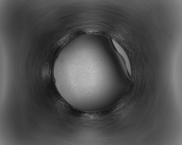 X0000086880763200705071201