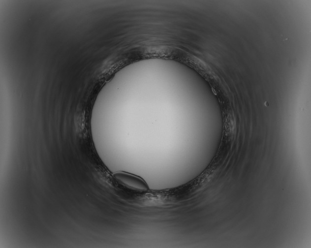 X0000086880764200705071201