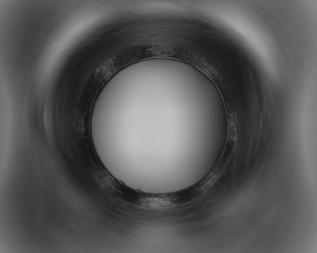 X0000086880765200705071201